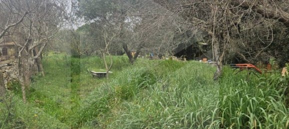 3-Zimmer Haus in Martina Franca, Italy, Nr. 21216 20