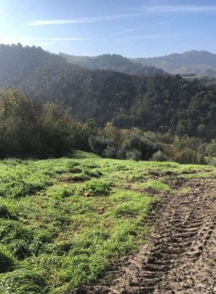 Grundstück in Sogliano al Rubicone, Italy 100m², Nr. 372196