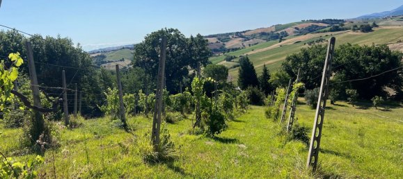 14 rooms House in Arcevia, Italy No. 289932 18