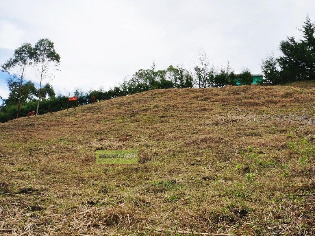  Land in Antioquia, Colombia No. 109