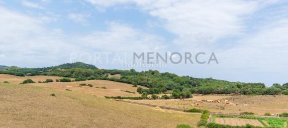 3 Schlafzimmer Haus in Es Mercadal, Spain, Nr. 73036 43