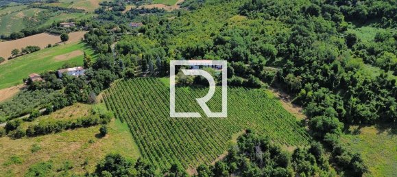 80000m² Land in Bertinoro, Italy No. 286673 7