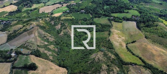 80000m² Land in Bertinoro, Italy No. 286673 6