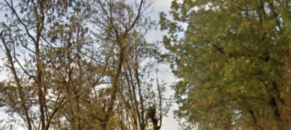 15 rooms Villa in Zola Predosa, Italy No. 306925 19