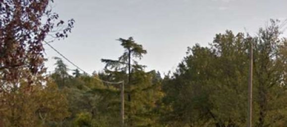 15 rooms Villa in Zola Predosa, Italy No. 306925 17