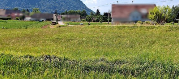 Land in Gallizien, Austria No. 231612 6