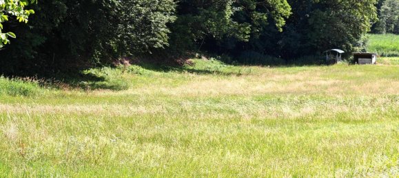  Land in Gallizien, Austria No. 231612 4