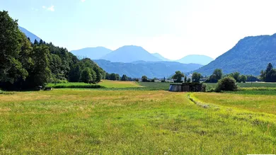  Land in Gallizien, Austria No. 231612