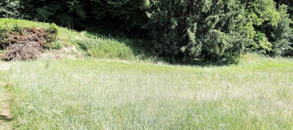  Land in Gallizien, Austria No. 231612 5