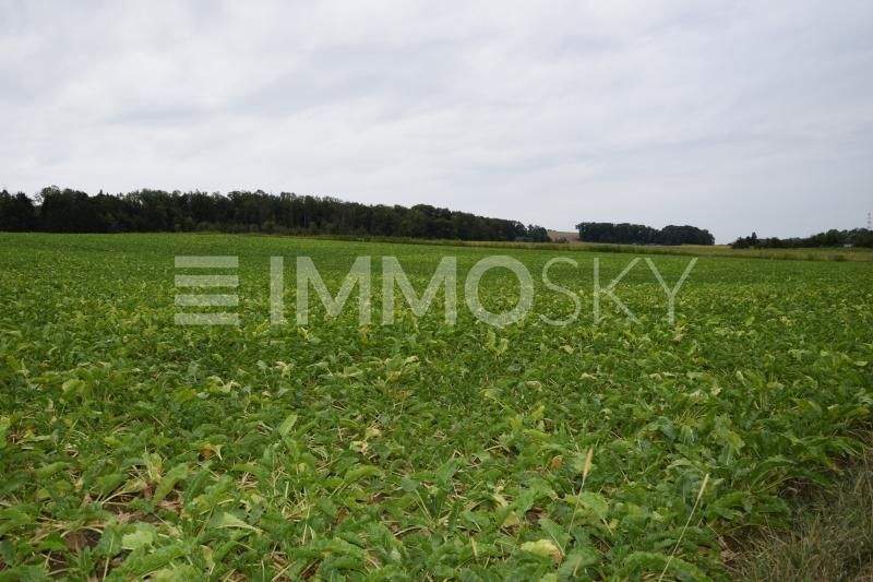 Grundstück in Linz, Austria, Nr. 247415