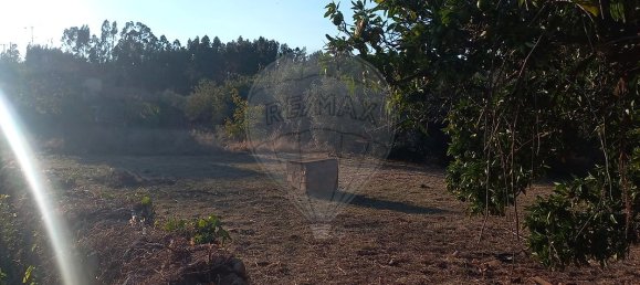 4 bedrooms House in Alvaiazere, Portugal No. 28519 20