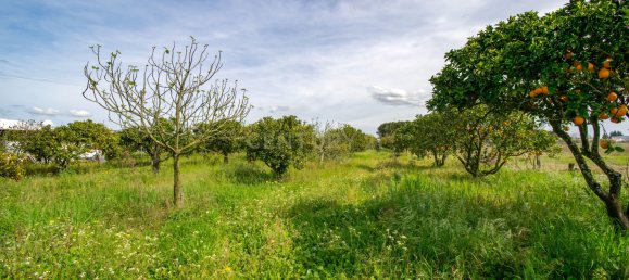 3 bedrooms Villa in Marinhais, Portugal No. 140157 24