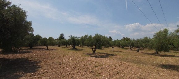 8000m² Hotel in Chalkidiki, Greece No. 3899 3