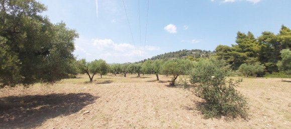 8000m² Hotel in Chalkidiki, Greece No. 3899 5