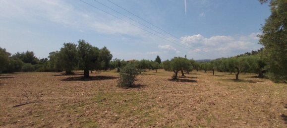 8000m² Hotel in Chalkidiki, Greece No. 3899 4