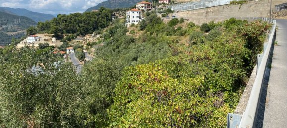 Grundstück in Taggia, Italy 7580m², Nr. 129849 14