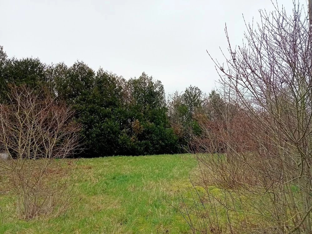 Grundstück in Beaune-la-Rolande, France, Nr. 84185