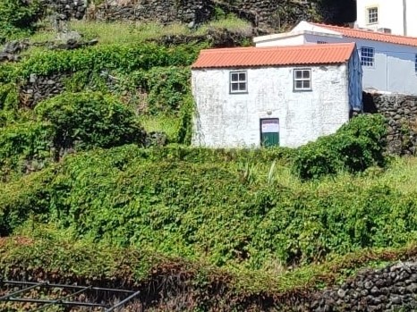 1 bedroom House in Velas, Portugal No. 349821