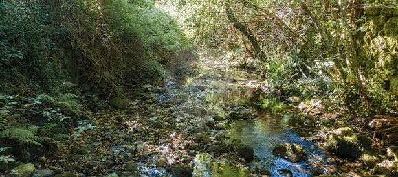 6 chambres Maison à Tondela, Portugal No. 165122 24