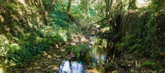 6 chambres Maison à Tondela, Portugal No. 165122 23
