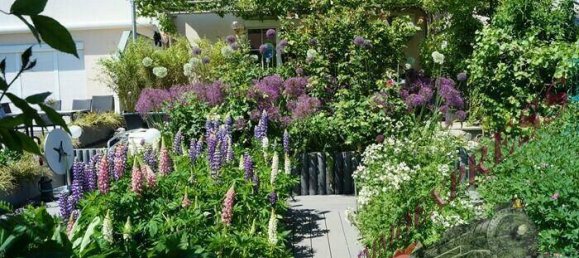 Таунхаус с 4 комнатами в Брунн ам Гебирге, Австрия № 172824 19