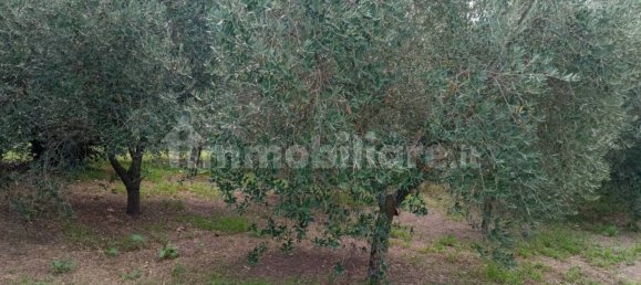 Земельный участок 1200м² в Ветралла, Италия № 341582 2