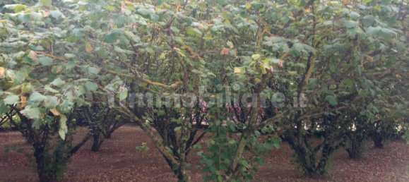 Земельный участок 1200м² в Ветралла, Италия № 341582 4