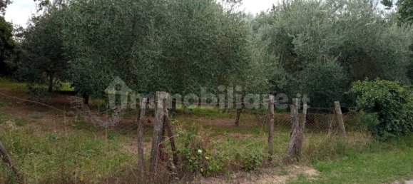 Земельный участок 1200м² в Ветралла, Италия № 341582 7