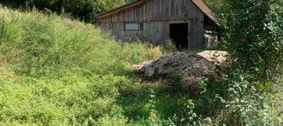  Land in St. Veit an der Glan, Austria No. 87673 7