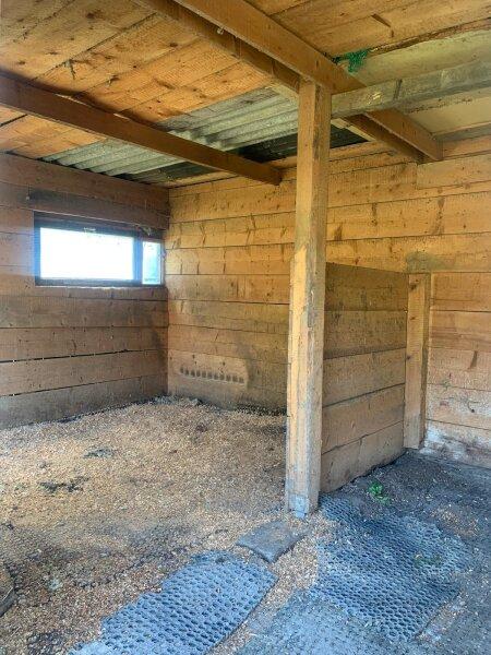  Land in St. Veit an der Glan, Austria No. 87673