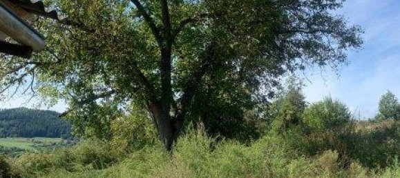  Land in St. Veit an der Glan, Austria No. 87673 5