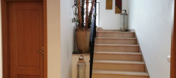 6 غرف نوم منزل في Castelo Branco, Portugal رقم 179330 47