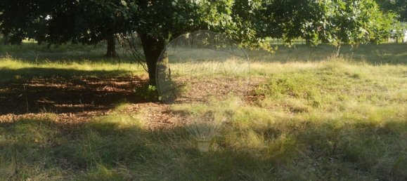 1843m² Land in Arcos de Valdevez, Portugal No. 58748 3