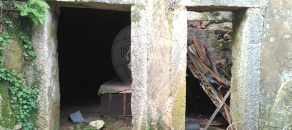 6 bedrooms House in Soure, Portugal No. 177624 8