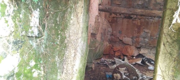 6 bedrooms House in Soure, Portugal No. 177624 11