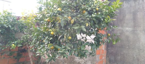 6 bedrooms House in Soure, Portugal No. 177624 15