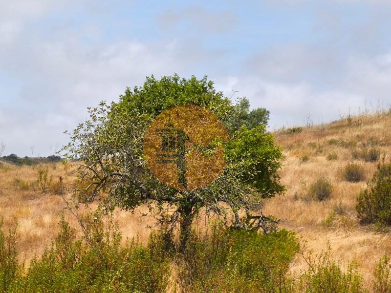  قطعة أرض في Altura, Portugal 41760متر مربع رقم 225551