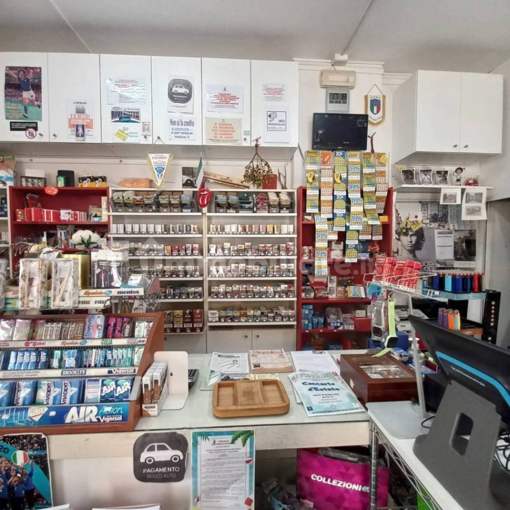 1 room Commercial property in Sant'Angelo in Pontano, Italy No. 344501