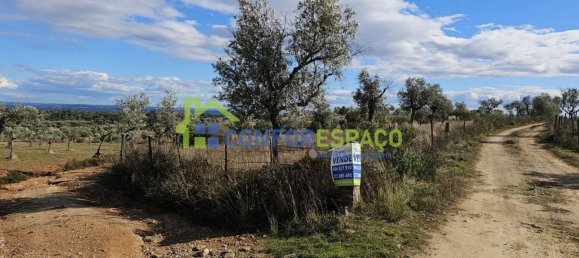 1 bedroom House in Castelo Branco, Portugal No. 29321 28