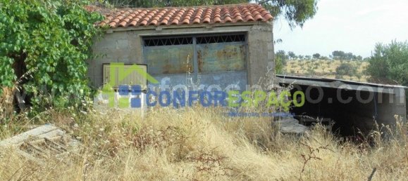 1 bedroom House in Castelo Branco, Portugal No. 29321 20