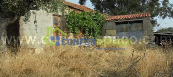 1 bedroom House in Castelo Branco, Portugal No. 29321 24
