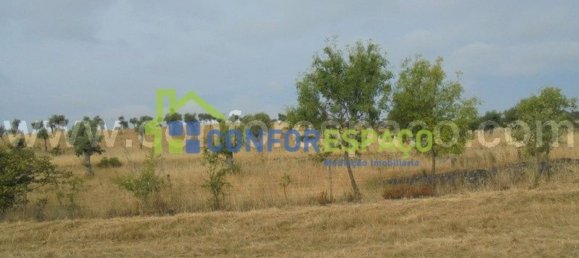 1 bedroom House in Castelo Branco, Portugal No. 29321 12