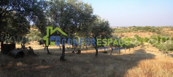 1 bedroom House in Castelo Branco, Portugal No. 29321 10