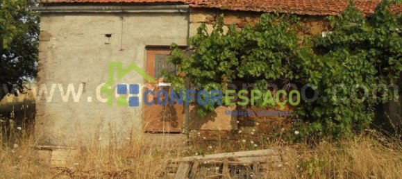 1 bedroom House in Castelo Branco, Portugal No. 29321 23