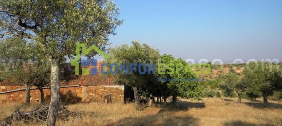 1 bedroom House in Castelo Branco, Portugal No. 29321 9