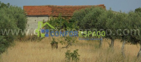 1 bedroom House in Castelo Branco, Portugal No. 29321 19