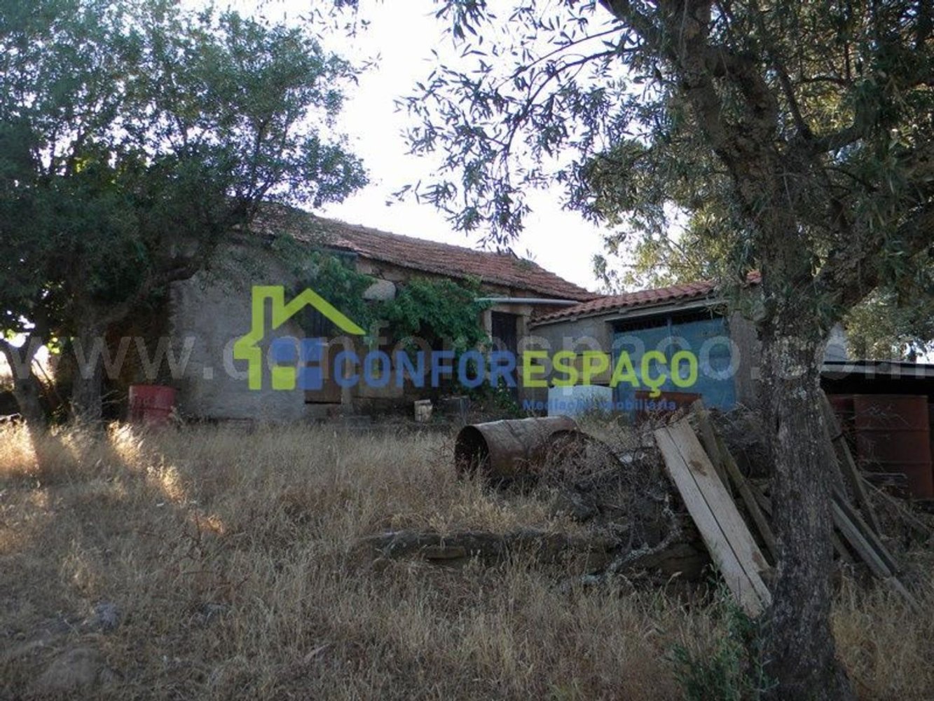1 bedroom House in Castelo Branco, Portugal No. 29321