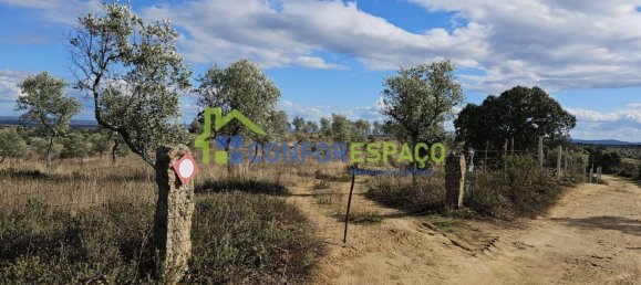 1 bedroom House in Castelo Branco, Portugal No. 29321 26