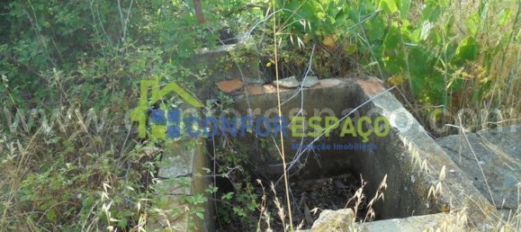 1 bedroom House in Castelo Branco, Portugal No. 29321 14