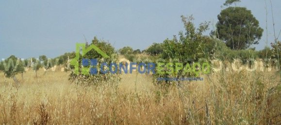 1 bedroom House in Castelo Branco, Portugal No. 29321 18